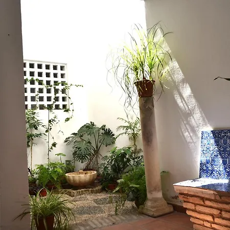 Appartamento Sunshine Juderia Cordova Esterno foto